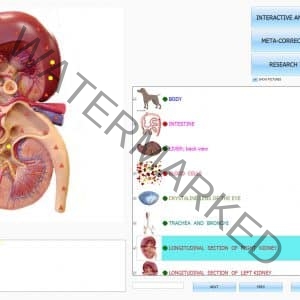 15 STARS PROMO - ISHA MULTI ANIMAL DONGLE AND DOGS OR HORSE OR CATS FOR FREE - ONLY SOFTWARE + DONGLE KEY 1250,00 $ DISCOUNT - Image 7