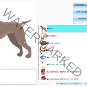 15 STARS PROMO - ISHA MULTI ANIMAL DONGLE AND DOGS OR HORSE OR CATS FOR FREE - ONLY SOFTWARE + DONGLE KEY 1250,00 $ DISCOUNT - Image 8