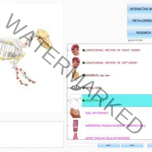 15 STARS PROMO - ISHA MULTI ANIMAL DONGLE AND DOGS OR HORSE OR CATS FOR FREE - ONLY SOFTWARE + DONGLE KEY 1250,00 $ DISCOUNT - Image 6