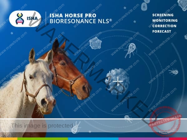ISHA HORSE PRO BIORESONANCE NLS big
